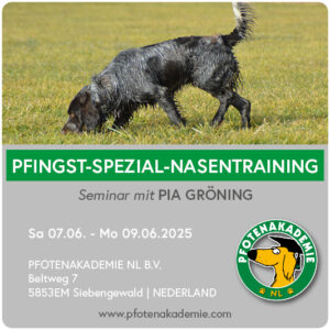 Pfingst-Special Nasenarbeit - mit Pia Gröning