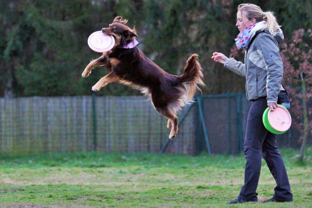 Lina Engelken spielt Frisbee mit Aussie