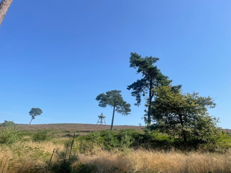 Aussichtsturm im Heidegebiet in Afferden