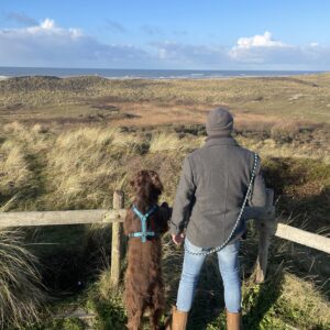 Mann und Deutsch Langhaar schauen über die Dünen in Petten