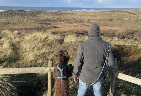 Mann und Deutsch Langhaar schauen über die Dünen in Petten