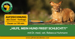 Werbebild Hilfe mein Hund frisst schlecht