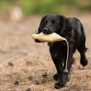 Trainingswanderung zum Thema Dummytraining mit Pia Groening