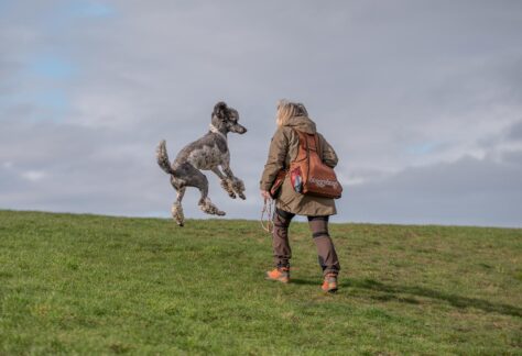 Simone Spooren mit einem ihren Pudel, der in die Luft springt