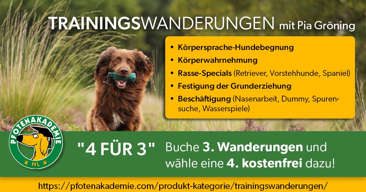 Schnüffel-Trainingswanderung Nasenarbeit mit Pia Gröning – Bild 2