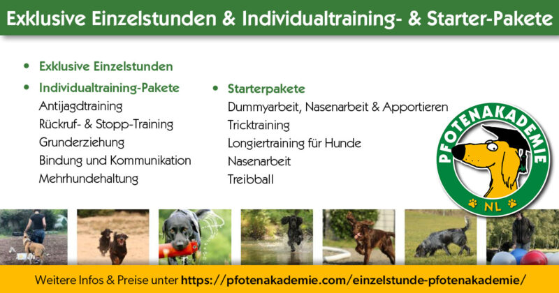 Werbebild zu unserem Einzeltraining