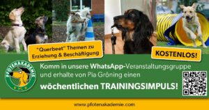 Werbebild für unseren WhatsApp Kanal mit kostenlosem Trainingsimpuls