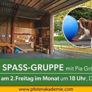Sport & Spaß - jeden 2. Freitag im Monat 18 Uhr