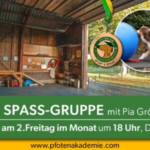 Sport & Spaß - jeden 2. Freitag im Monat 18 Uhr